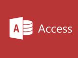 MSAccess