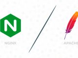 nginx-apache