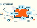 Разработка Web приложений. Использование JavaScript