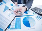 finansovay model