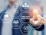 Управление проектами в области информационных технологий (IT Project Management).