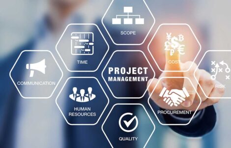 Управление проектами в области информационных технологий (IT Project Management).